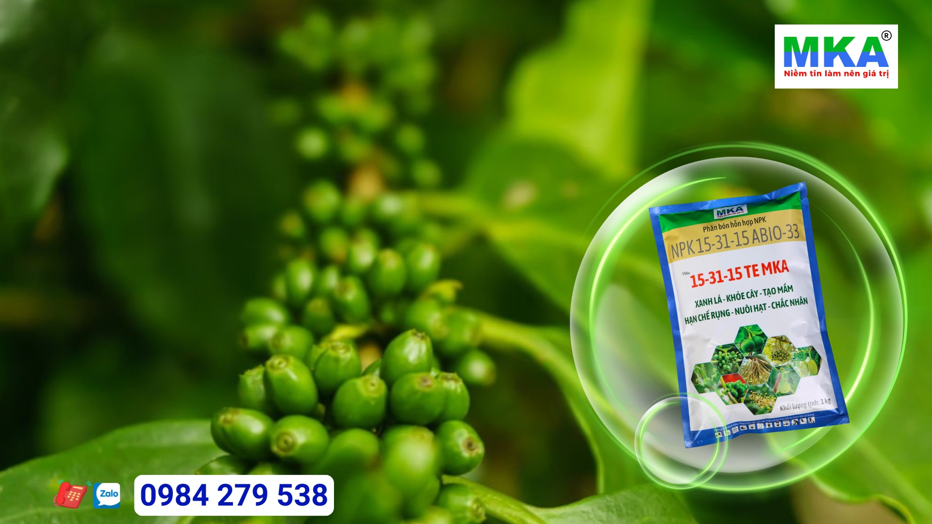 Công dụng Phân bón NPK 15-31-15 + TE hạn chế rụng trái trên cà phê